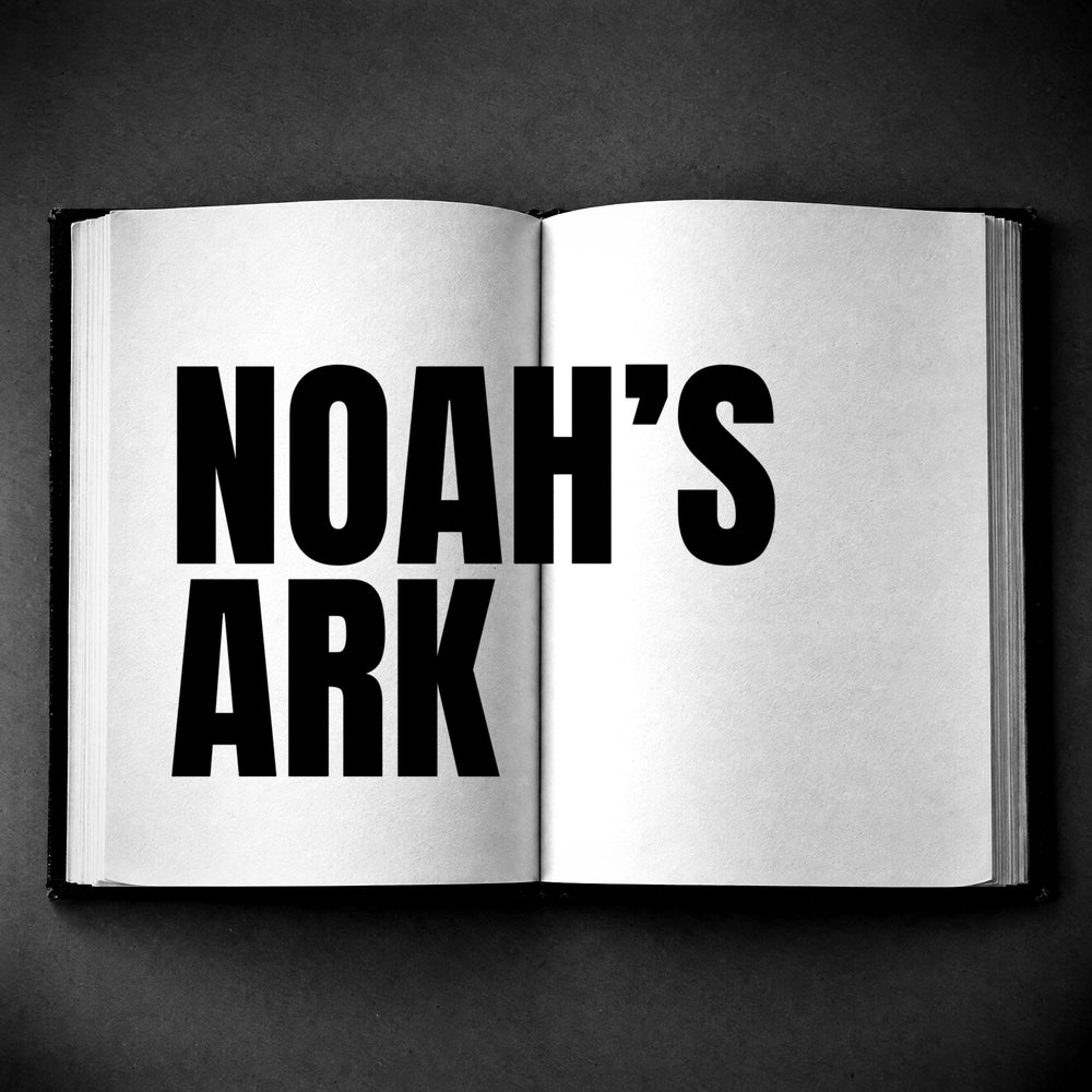 Inside: Noah's Ark