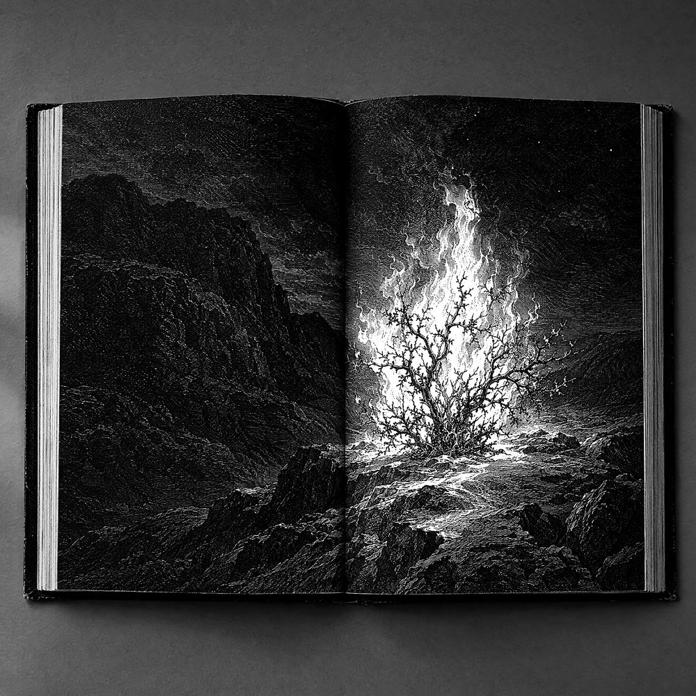 Inside: the burning bush