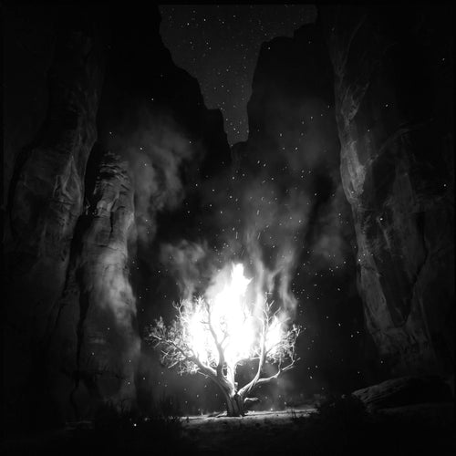 The Burning Bush